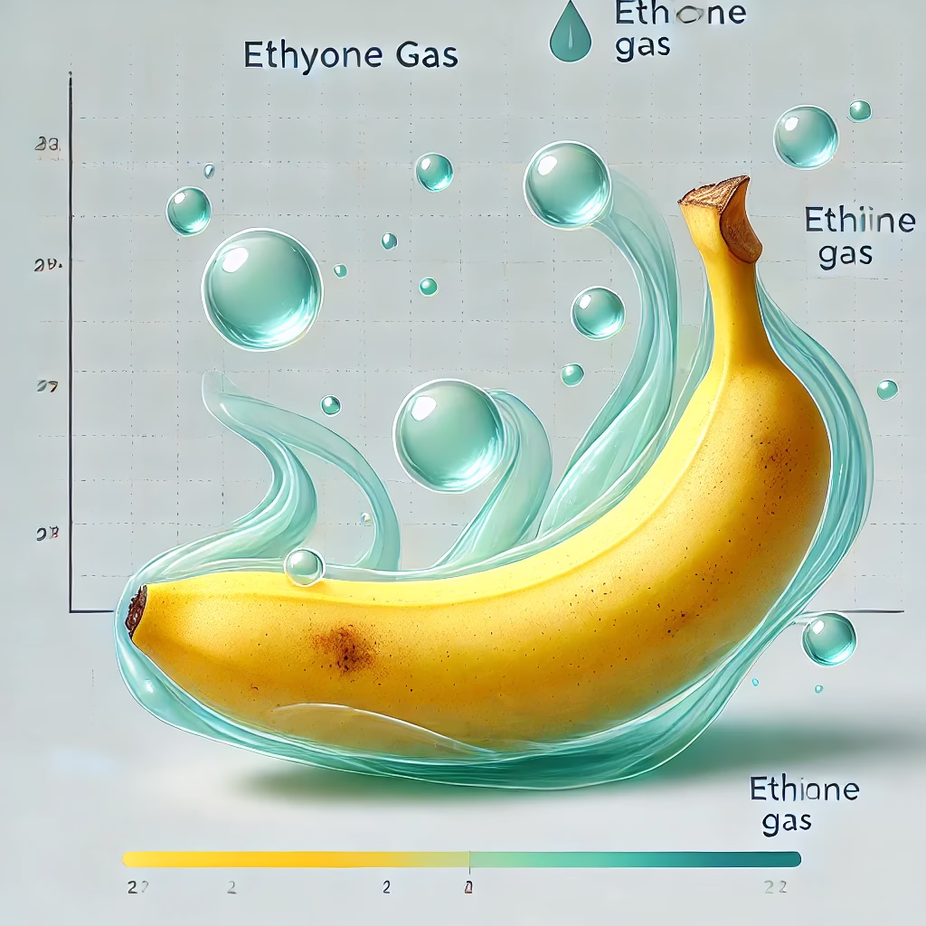 بهترین روش نگهداری موز در خانه