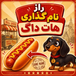 راز نام گذاری هات داگ با تصویر هات داگ و سگ داچشوند کارتونی
