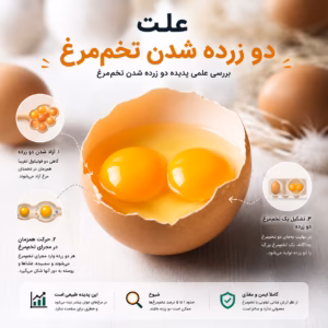 تخممرغ دو زرده